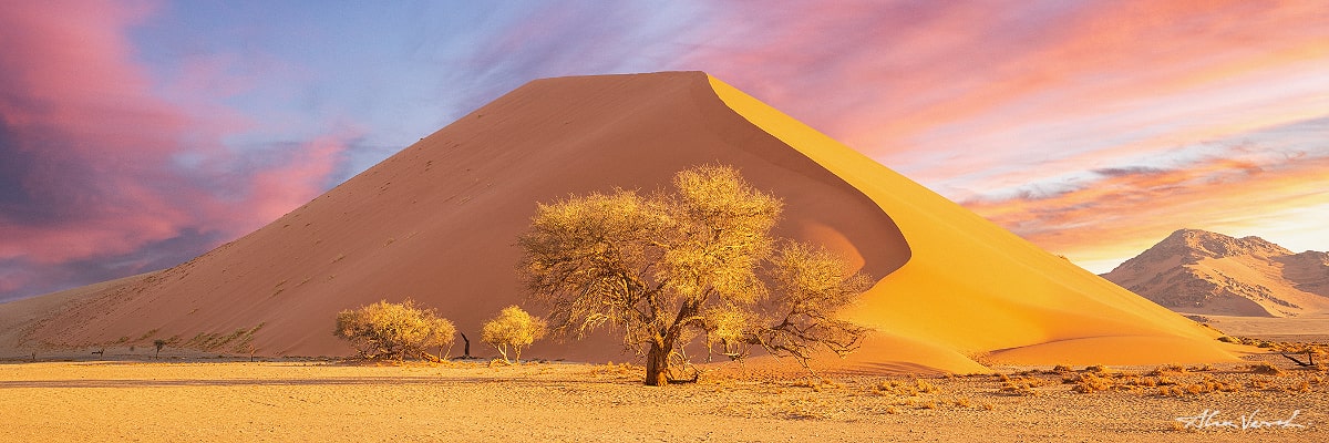 African Landscape Photography, Namib, Alexander Vershinin, Namib Desert, sand dunes, Namibia, photo